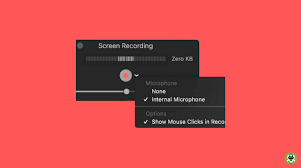 You'll see the options to record your entire screen or a portion of your screen. How To Record Mac Screen With System Audio Guide