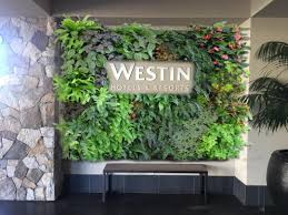 A Beautiful Piece By Green Wall Designs Maui At The Westin Green Wall Green Wall Design Wall Design