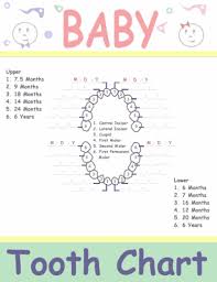 38 Printable Baby Teeth Charts Timelines Template Lab