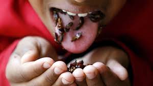 Edible Insects Do Insects Actually Taste Any Good Bbc News