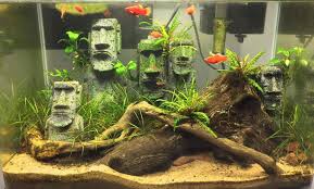 Pin On Planted Aquarium
