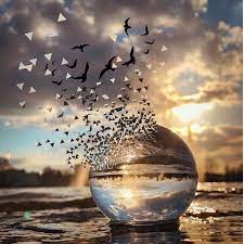Pin By Staci Neidert On Crystal Ball Beautiful Images Nature Crystal Photography Miniature Photography