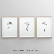 Black And White Photo Art Prints Set Of 3 Floral Black And White Art Prints Minimalist Boho Nursery Wall Art Prints Modern Flowers Poster Set 3 Piece Wall Decor Plants In 2020 White Art Wall Art Prints Prints
