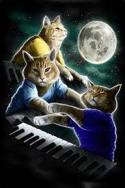 Three Keyboard Cat Moon Hd Iphone Wallpapers Store Cat Tshirt Cat Lovers Cats