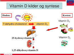 Vitamin d overview for health professionals. Ppt Far Vi D Vitamin Nok Hvem Skal Behandles Og Hvorfor Powerpoint Presentation Id 916683