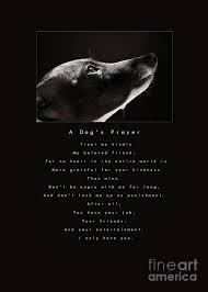 For any that are hunted or lost or deserted or frightened or hungry; A Dog S Prayer A Popular Inspirational Portrait And Poem Featuring An Italian Greyhound Rescue Photograph By Angela Rath