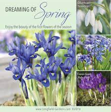 Amaryllidaceae (amaryllis) zone 5 how to plant: Early Blooming Flower Bulbs Announce Spring S Return Longfield Gardens