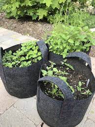 3 Gallon Set Of 3 Black Or Green Fabric Felt Like Grow Bags Etsy Grow Bags Urban Garden Urban Farming