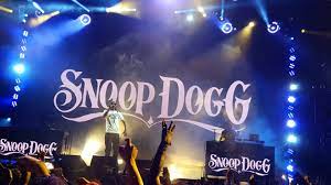 Unde cântă și cât costă un bilet. Snoop Dogg Concert In Bucharest Postponed For Next Year Romania Insider