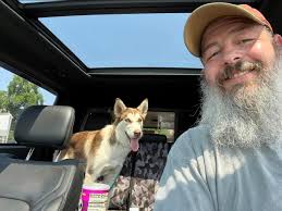 Available for adoption: 17 week old husky, Sasha! She came in this  afternoon and seems to be pretty laid back for a husky pup, but does not do  well with chickens. To