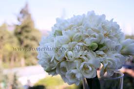 Make payment to your private sector housing accounts. Something Special Flowers Special Flowers Freesia Wedding Bouquet Wedding Flowers