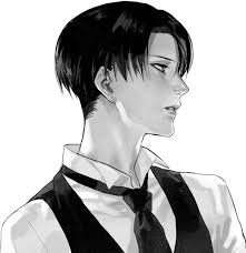 صور شخصيات هجوم العمالقة Levi Ackerman Attack On Titan Attack On Titan Levi
