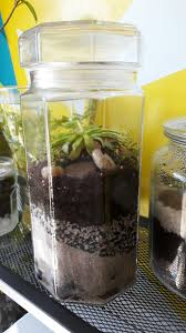 Diy Terarium Layer Rock And Sand For Drainage A Bit Of Carbon For Filtration Fish Aquarium Carbon Is Perf Planting Succulents Aquarium Decorations Terarium