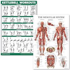 quickfit kettlebell workouts and muscular system anatomy poster set laminated 2 chart set kettle bell exercise routine muscle anatomy diagram