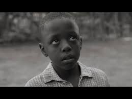 Allan Gray “Father's Share”