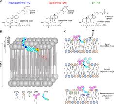 Image result for Malouetia bequaertiana