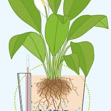 How Do Self Watering Planters Work Hooks Lattice Blog The moist potting soil will gradually draw the nutrients down into the soil to feed the plant's roots.