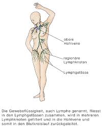Lymphknotenentzundung Lymphadenitis Eesom Gesundheitsportal