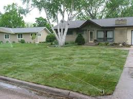 Dan Ehman Landscaping