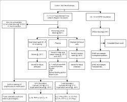 flow chart of blood collection and analysis download