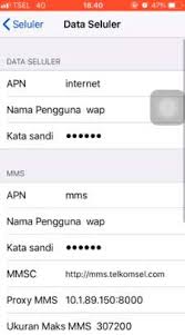 Koneksi yang didapat relatif stabil juga kok Terbaru 15 Apn Telkomsel 4g Cepat Stabil 2020