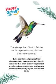 Why Go Bird Watching In Ecuador An Expert S Perspective Bird Watching Ecuador Ecosystems