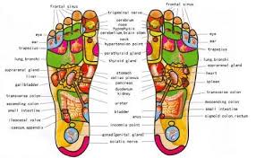 Foot Reflexology Charts