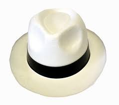 Pin On Costume Hats