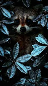 Pin By Immortal Temptation On Zhivotnye Animal Wallpaper Animal Art Cute Animals