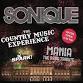 Sonique: Heveningham Fireworks event image