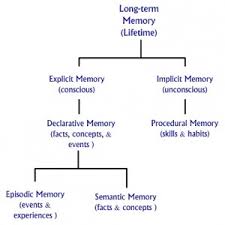 Long Term Memory Chart The Peak Performance Center