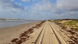 Beaches On Padre Island National Seashore Closed To Driving Laredo Morning Times