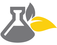 I used the same seed for levels but changed the first number to find all of them. Seed To Seal Essential Oil Aromatherapy Young Living Essential Oils