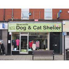 Newcastle Cat Dog Shelter Newcastle Upon Tyne Charity Shops Yell