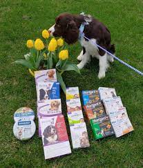 Maybe you would like to learn more about one of these? Ridge Animal Clinic Home Facebook