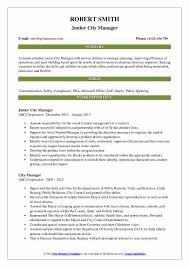 city manager resume samples qwikresume