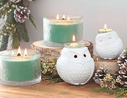 Available July 27 Nature S Light 3 Wick Jar Candles And Nature S Love Owl Candle Holders Www Pa Party Lite Candles Partylite Candles Decor Candle Inspiration