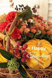 We did not find results for: Happy Tuesday Fall Thanksgiving Autumn Decorating Fall Harvest