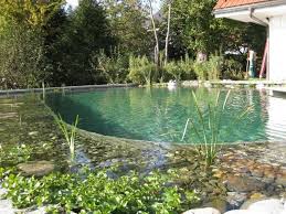 Graf Gartenbau Schwimmteich Bern Schweiz In 2020 Schwimmteich Gartenbau Garten Planen