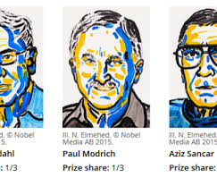 Sezonul premiilor nobel din 2020 va continua cu decernarea premiului pentru literatură, pe 8 octombrie, şi a premiului pentru pace. Tomas Lindahl Paul Modrich Si Aziz Sancar Au Castigat Premiul Nobel Pentru Chimie Studiile Care Le Au Adus Distinctia