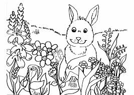 We've custom drawn all of these and they include lots of your favorite spring things like rainbows, flowers, birds, bunnies and more! Spring Coloring Pages Best Coloring Pages For Kids