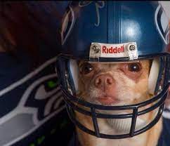 12th Chi Football Helmets Chihuahua Love Helmet