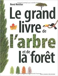 Reconnaissance Des Arbres Grace Aux Feuilles Tronc Fleurs Fruits Arbre Grand Livre Parc Et Jardin