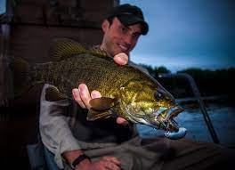 Working On The Summer Night Moves Bass Fishing Bass Fishing Tips Fish