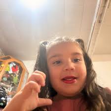 What are some dinner ideas using a pound of ground beef that don't involve  the oven or burgers?