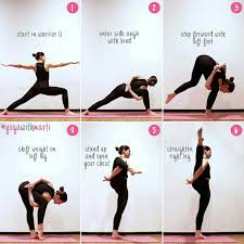 Bird Of Paradise Yoga Help Bird Of Paradise Yoga Yoga Postures