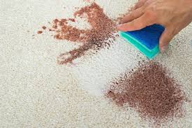 There are a number of ways to tackle blood stains on a carpet. Tips Tricks Archives Homecleanexpert