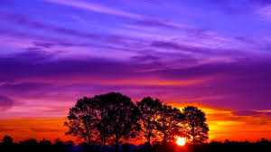 Huge collection, amazing choice, 100+ million high quality, affordable rf and rm images. Beautiful Pics Beautiful Sunset Clouds Sunset Wallpapers 1920x1080 Download Hd Wallpaper Wallpapertip