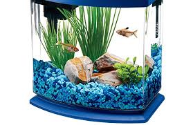 It also provides you with a calming atmosphere hearing the water and seeing the fish and the items inside for a moment of reflection and stress relief. Best Betta Fish Tank 2020 Top Kits With Filters Plants Bowls More Betta Fish Home Guide