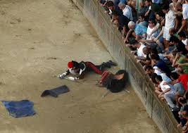 See full list on it.wikipedia.org 24zampe Palio Di Siena Il Cavallo Della Lupa Zoppica E Non Correra Valentini No A Sindrome Di Tornasol